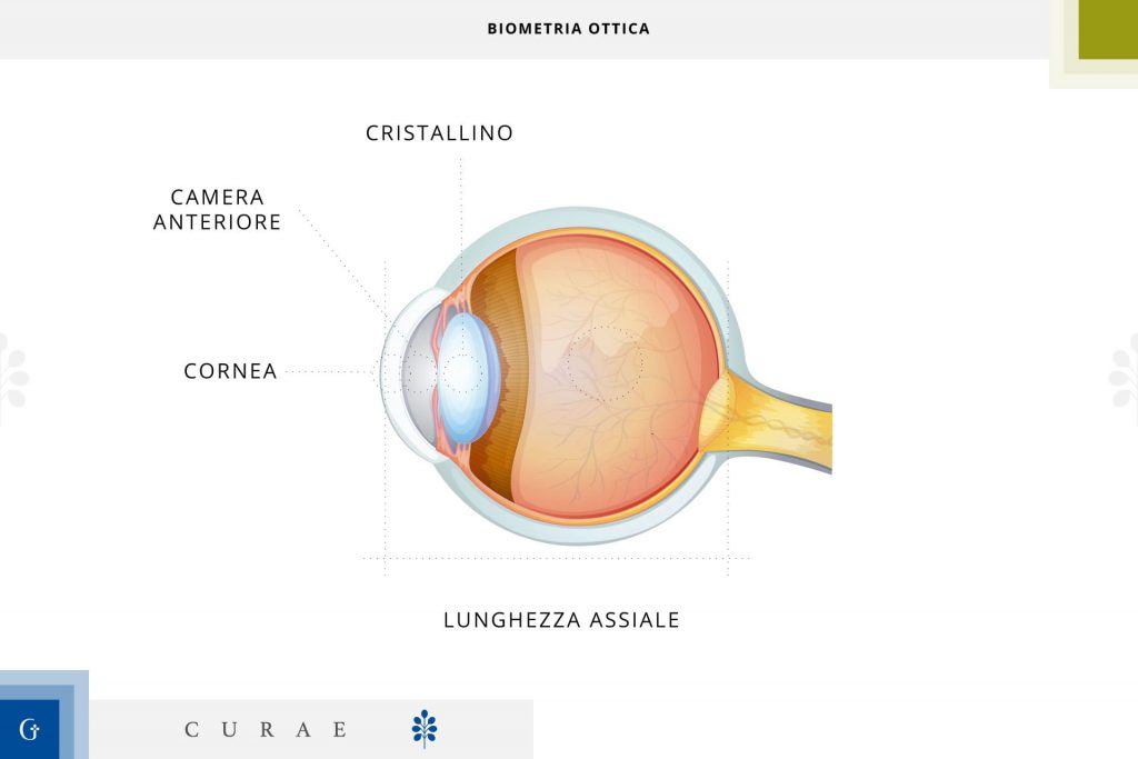 biometria oculare