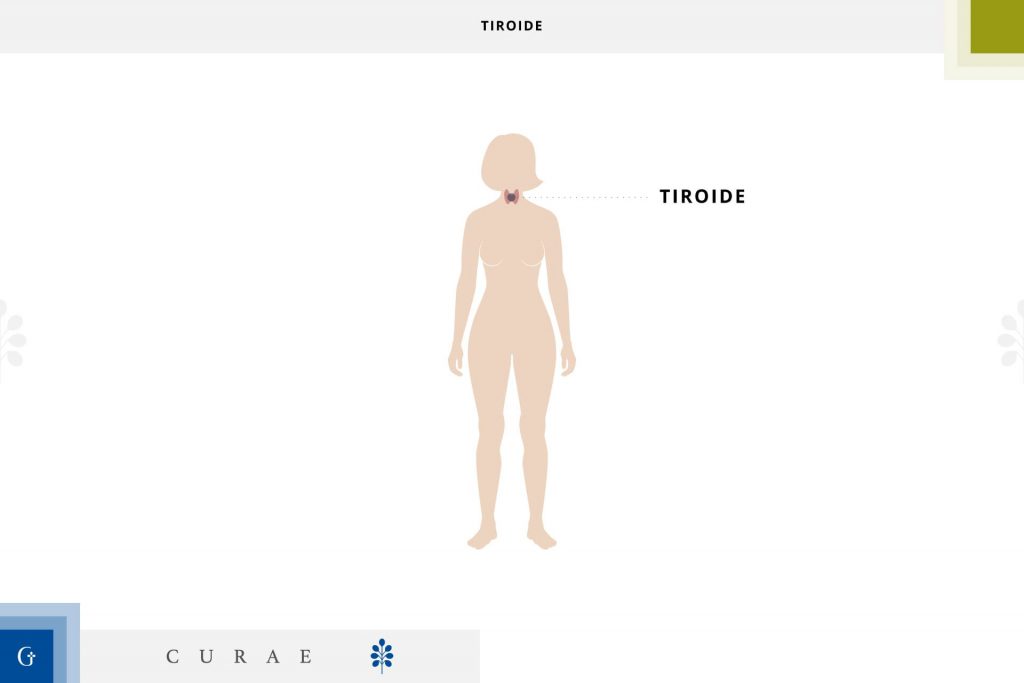 ecografia tiroidea e paratiroidea