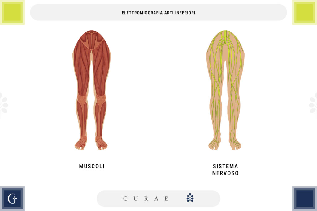 elettromiografia arti inferiori