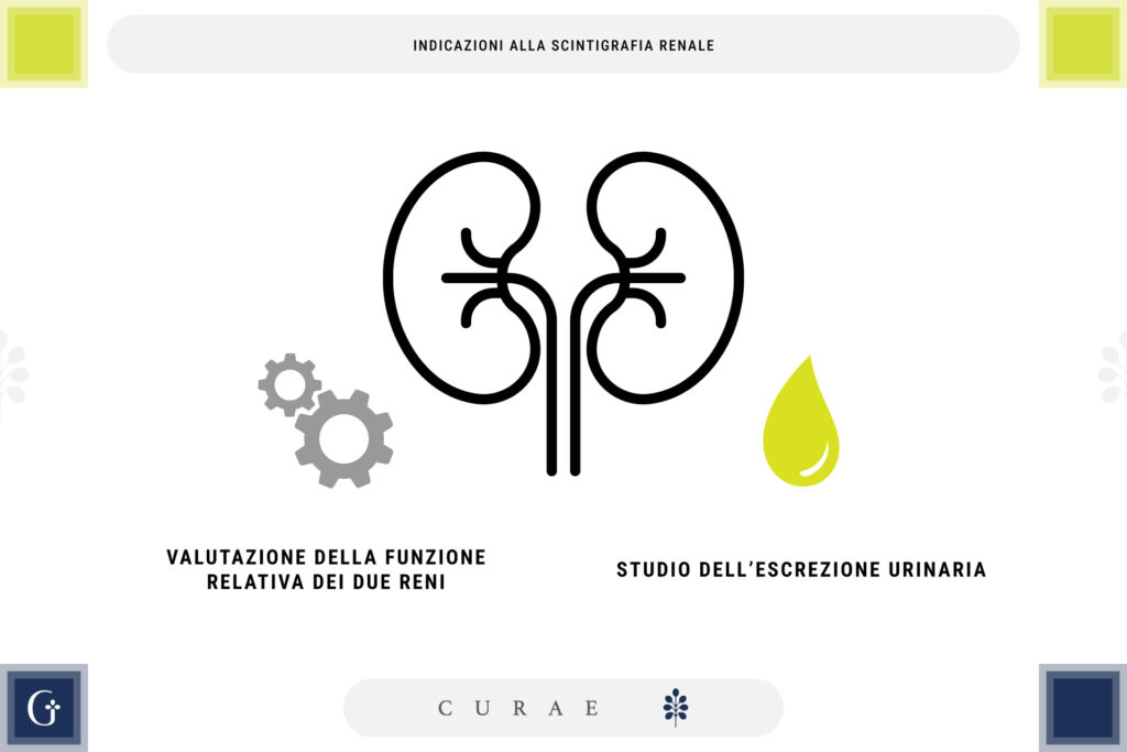 scintigrafia renale